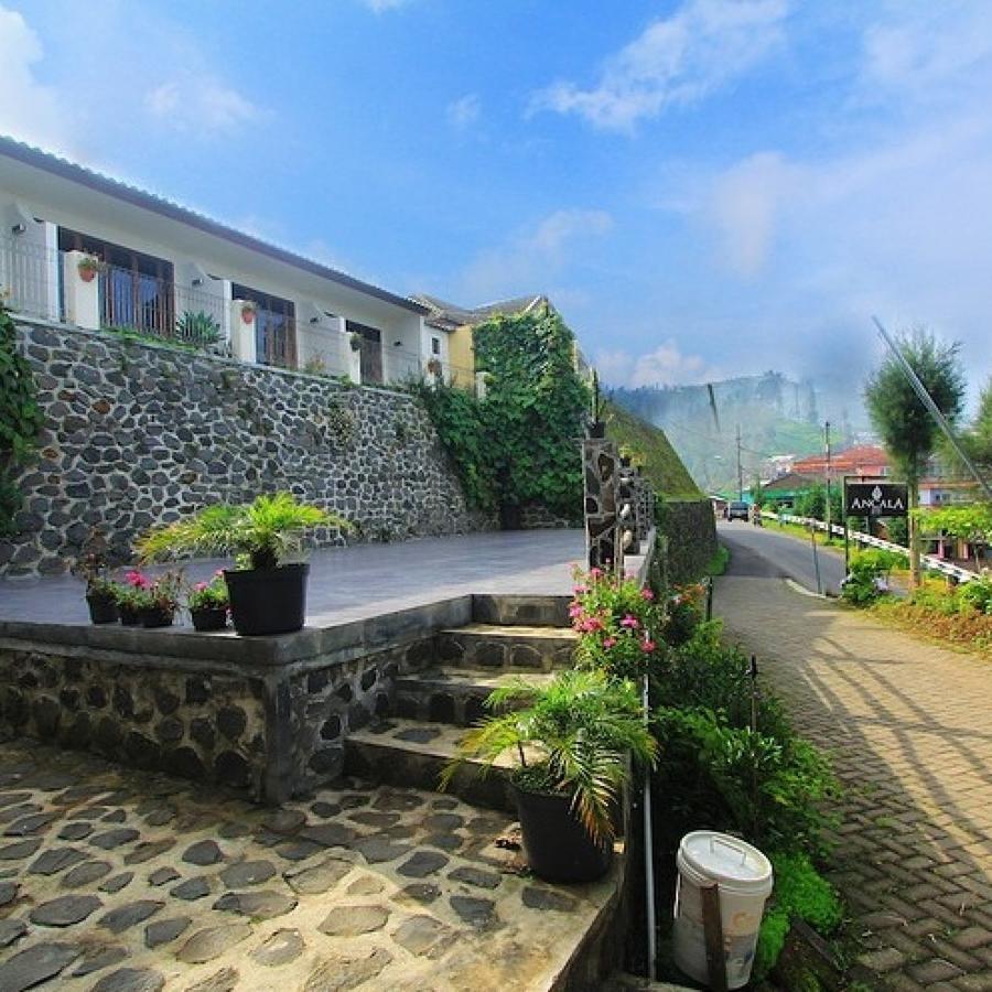 Ancala Inn Bromo Pasuruan Exterior photo